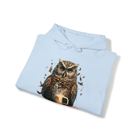 Programming with an Owl's-eye View Unisex Heavy Blend Hooded Sweatshirt