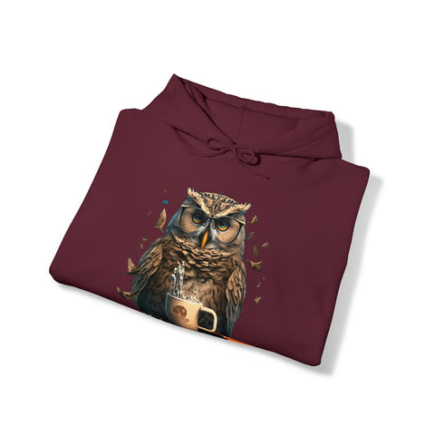 Programming with an Owl's-eye View Unisex Heavy Blend Hooded Sweatshirt