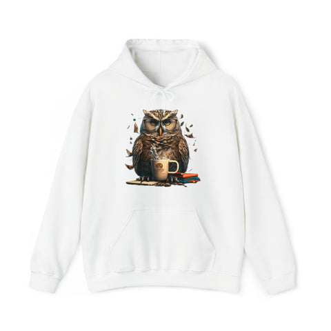 Programming with an Owl's-eye View Unisex Heavy Blend Hooded Sweatshirt