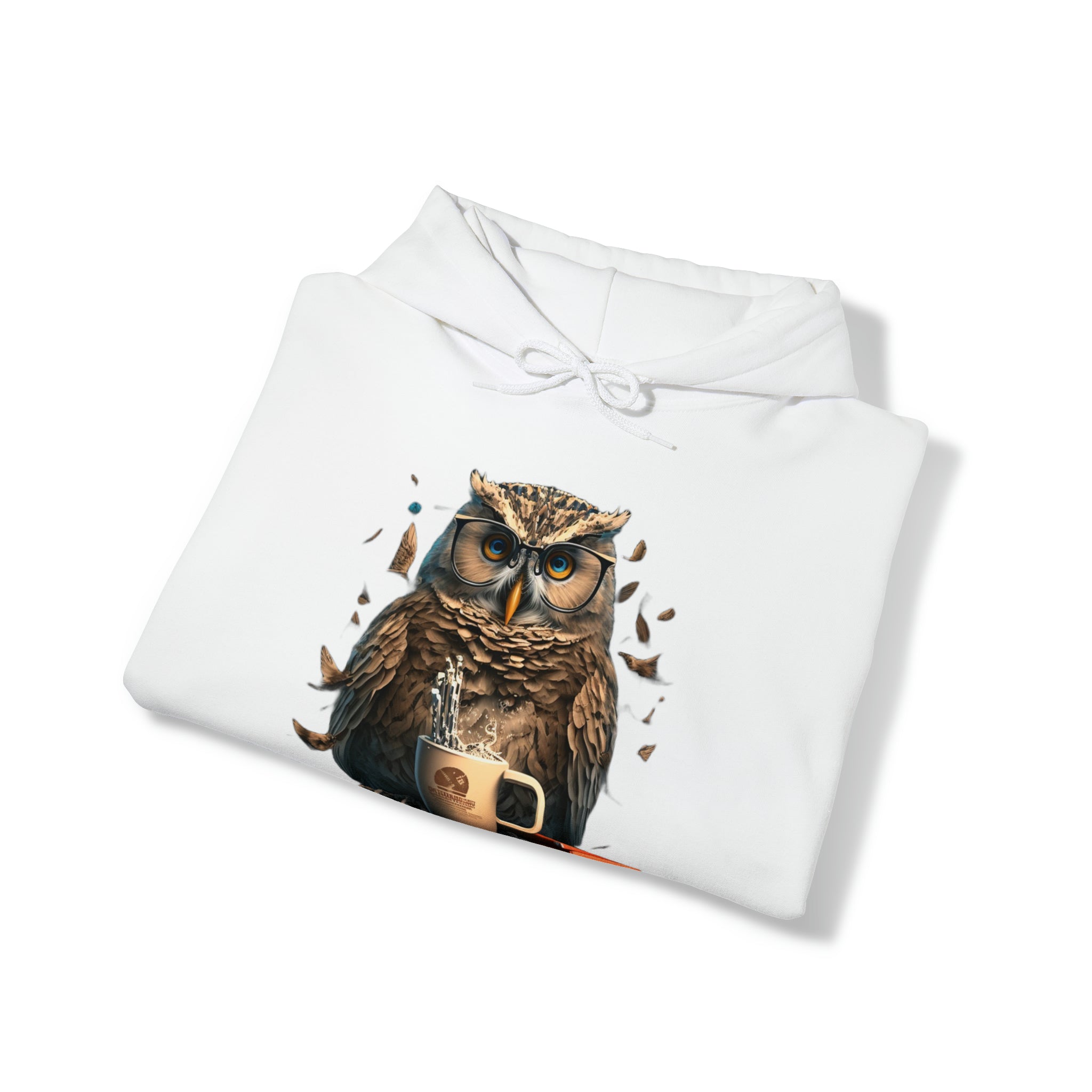 Programming with an Owl's-eye View Unisex Heavy Blend Hooded Sweatshirt