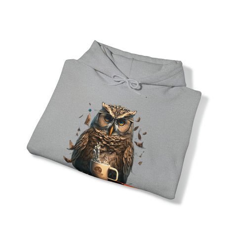 Programming with an Owl's-eye View Unisex Heavy Blend Hooded Sweatshirt